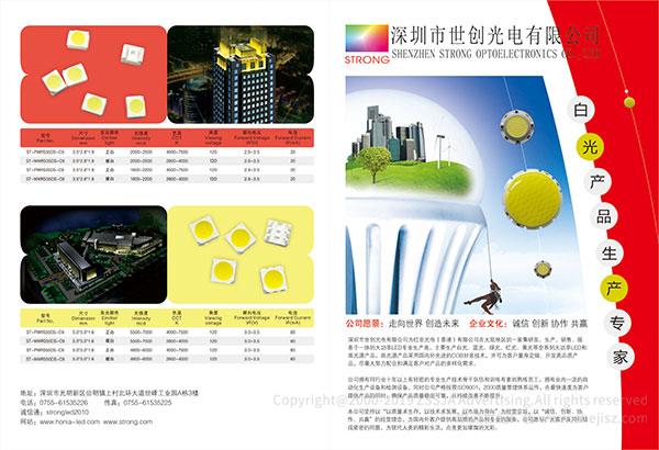 深圳世创光电有限公司 品牌全案策划